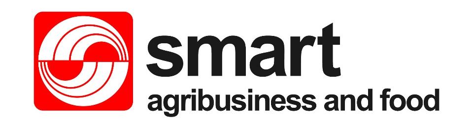 Sinarmas Group