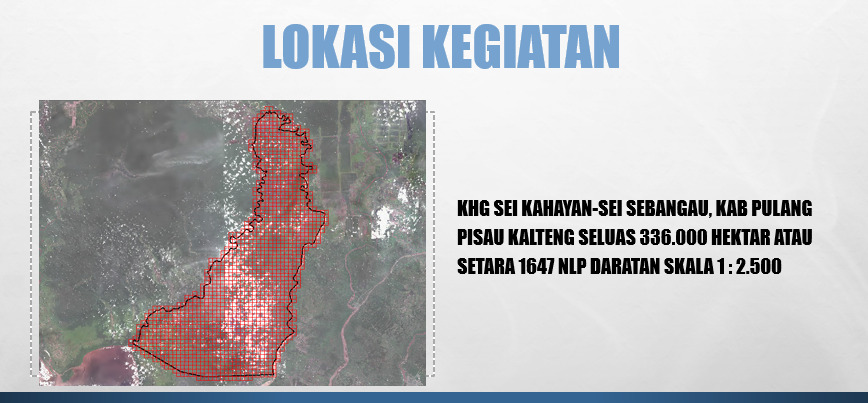Akuisisi Data dan Pemetaan Gambut di Wilayah Kabupaten Pulang Pisau, Provinsi Kalimantan Tengah